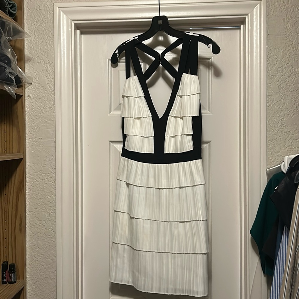 BCBG Max Azaria Cocktail Dress size 4, with garment bag. 

only worn once.